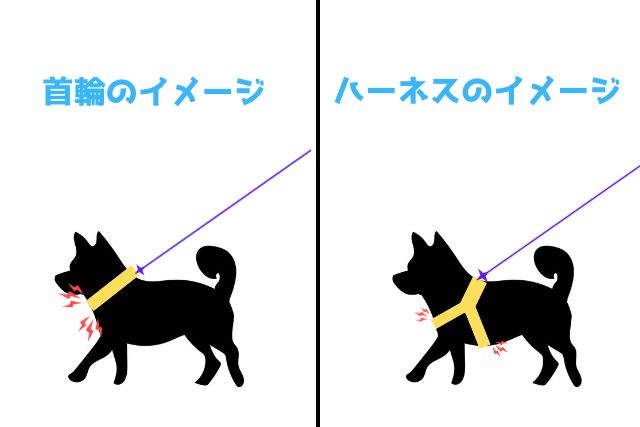 首輪・ハーネスのイメージ