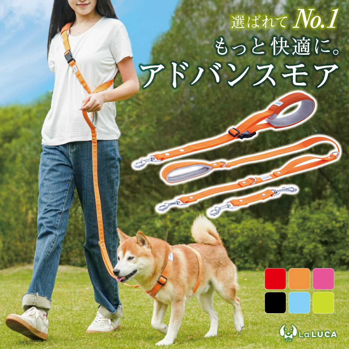 アドバンスモアの画像