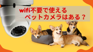 wifi不要で使える ペットカメラはある？