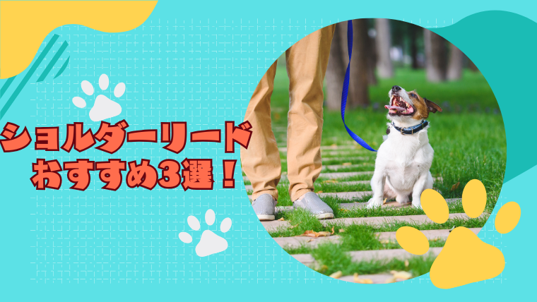 ショルダーリードのおすすめ3選！