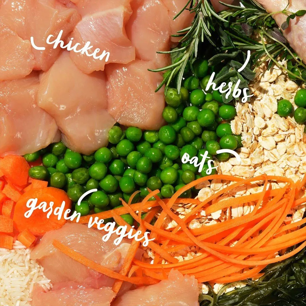 バーキングヘッズの素材の画像