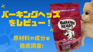 バーキングヘッズをレビュー