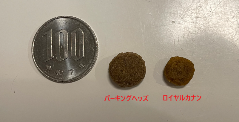 ロイヤルカナンとバーキングヘッズの大きさ比較