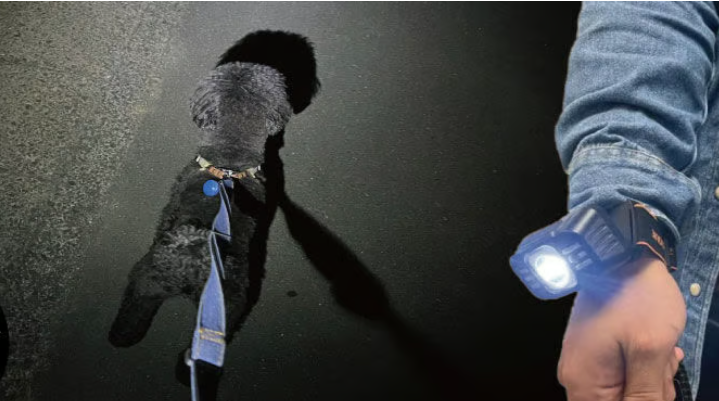 手首ライトのイメージ画像